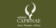 Caprinae Travel | Safaris